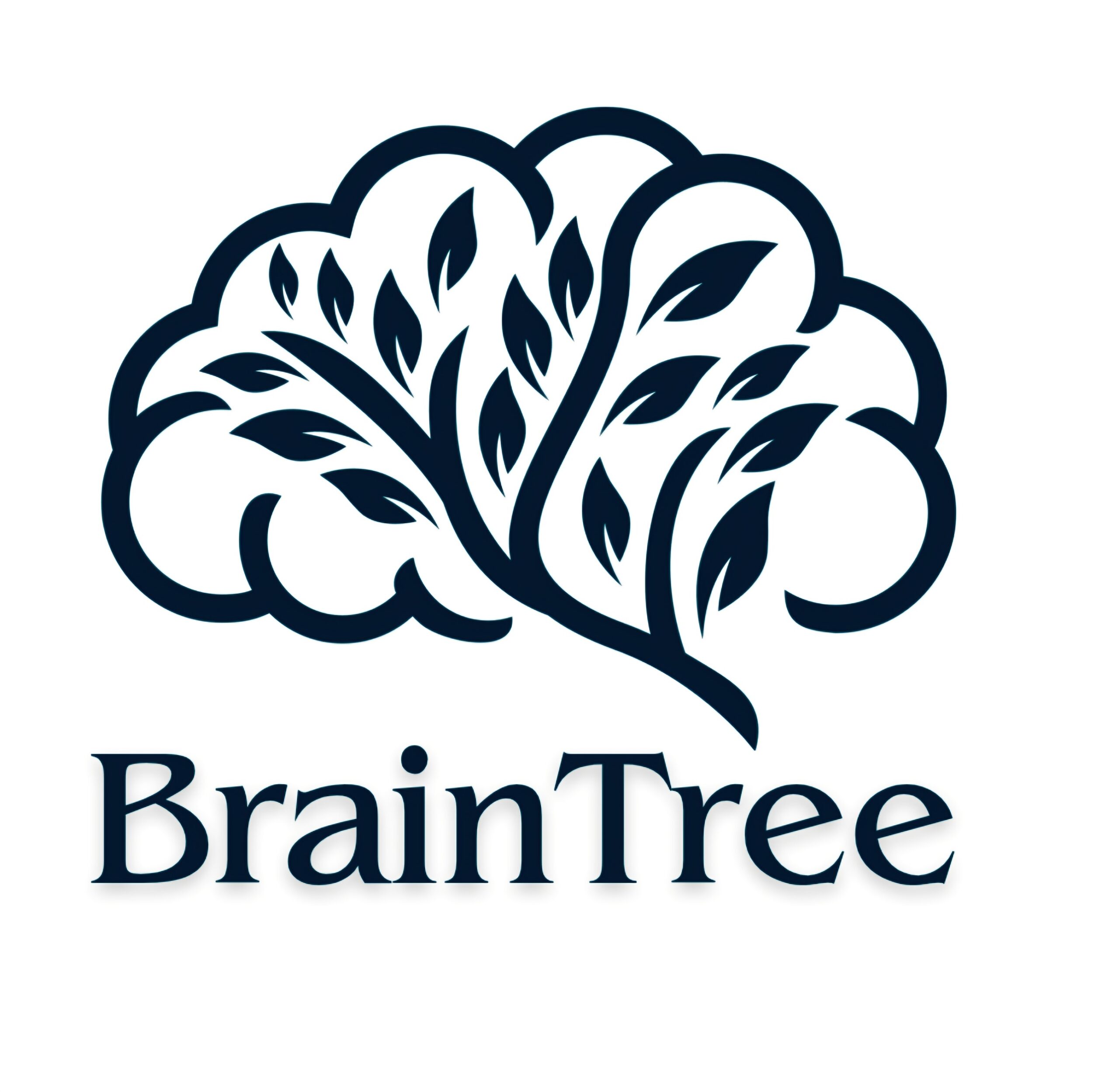 braintreepiotrnowacki.pl
